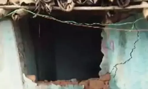 हाथियों का उत्पात, रायगढ़ में 7 परिवार बेघर