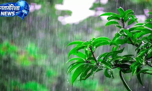 राज्य के कई जिलों में आज और कल झूम के बरसेगा मानसून, सतर्क रहें राज्य के कई जिलों में आज और कल झूम के बरसेगा मानसून, सतर्क रहें