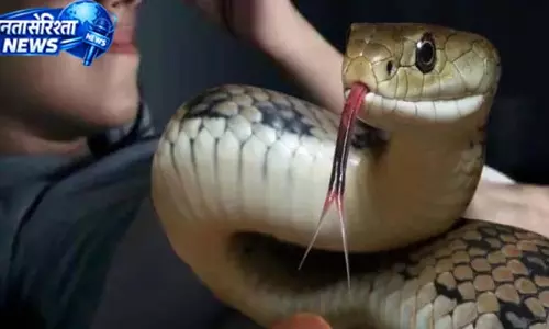 काम के दौरान सांप ने डसा, कर्मचारी की मौत