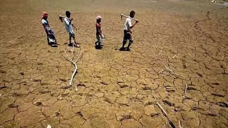 कर्नाटक में सूखे की मार, केंद्र से राष्ट्रीय आपदा घोषित करने की मांग कर्नाटक में सूखे की मार, केंद्र से राष्ट्रीय आपदा घोषित करने की मांग