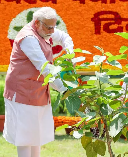 पीएम मोदी ने की एक पेड़ मां के नाम अभियान से जुड़ने की अपील, बोले- एक पौधा बन सकता है भविष्य की विरासत पीएम मोदी ने की एक पेड़ मां के नाम अभियान से जुड़ने की अपील, बोले- एक पौधा बन सकता है भविष्य की विरासत