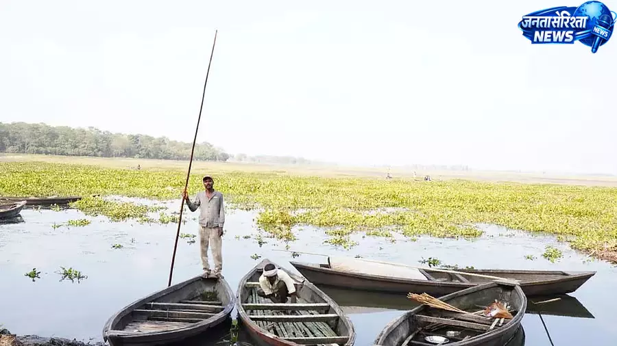 बिहार की कंवर झील की बिगड़ती हालत पर NGT सख्त बिहार की कंवर झील की बिगड़ती हालत पर NGT सख्त