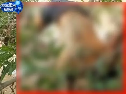 9 दिन से लापता ग्रामीण का नदी किनारे मिला शव, झाड़ियों में फंसी मिली लाश 9 दिन से लापता ग्रामीण का नदी किनारे मिला शव, झाड़ियों में फंसी मिली लाश