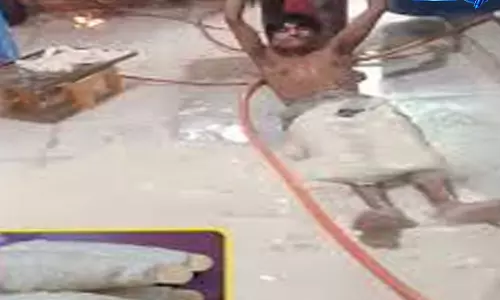 नोएडा में सोया चाप बनाने के दौरान कारीगरों की शर्मनाक हरकत कैमरे में कैद नोएडा में सोया चाप बनाने के दौरान कारीगरों की शर्मनाक हरकत कैमरे में कैद