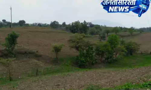 Punjab वन भूमि पर शराब दुकानों पर कार्रवाई के आदेश Punjab वन भूमि पर शराब दुकानों पर कार्रवाई के आदेश