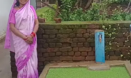 अमाली की आदिवासी बिहान दीदियों ने पेश की प्रेरक मिसाल