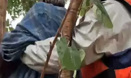पेड़ में लटका रहा बाढ़ में फंसा बुजुर्ग