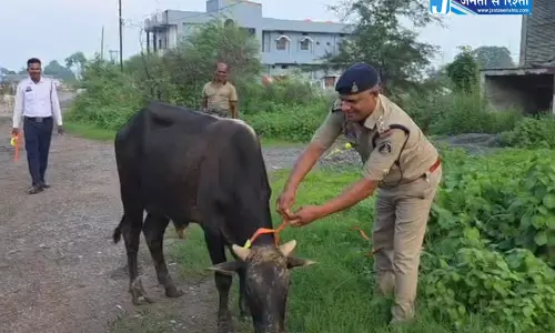 हाईवे पर ट्रैफिक पुलिस ने मवेशियों के गले में लगाए रेडियम बैंड हाईवे पर ट्रैफिक पुलिस ने मवेशियों के गले में लगाए रेडियम बैंड