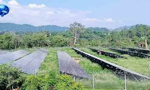 Kangra का पहला सोलर प्लांट शुरू होने के करीब