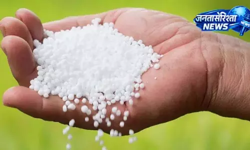 किसानों के लिए खाद व्यवस्था पर सरकार का बड़ा बयान किसानों के लिए खाद व्यवस्था पर सरकार का बड़ा बयान