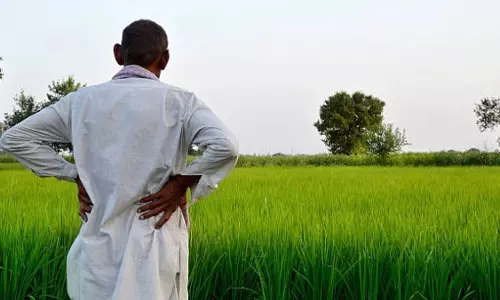 महाराष्ट्र के बीड में 97 हजार से अधिक किसानों को कर्ज माफी का लाभ महाराष्ट्र के बीड में 97 हजार से अधिक किसानों को कर्ज माफी का लाभ
