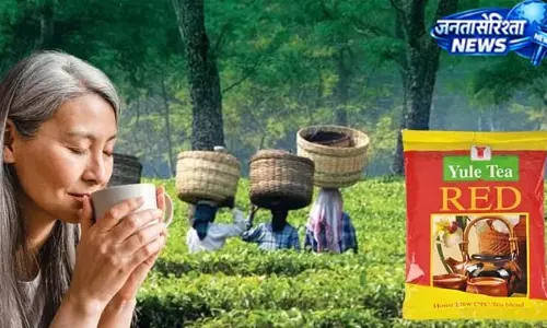 मीटिंग में चाय का फरमान, 163 साल पुरानी कंपनी को फायदा
