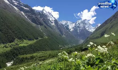 हिमालयी जड़ी-बूटियों से खुलेगा आय का नया रास्ता हिमालयी जड़ी-बूटियों से खुलेगा आय का नया रास्ता