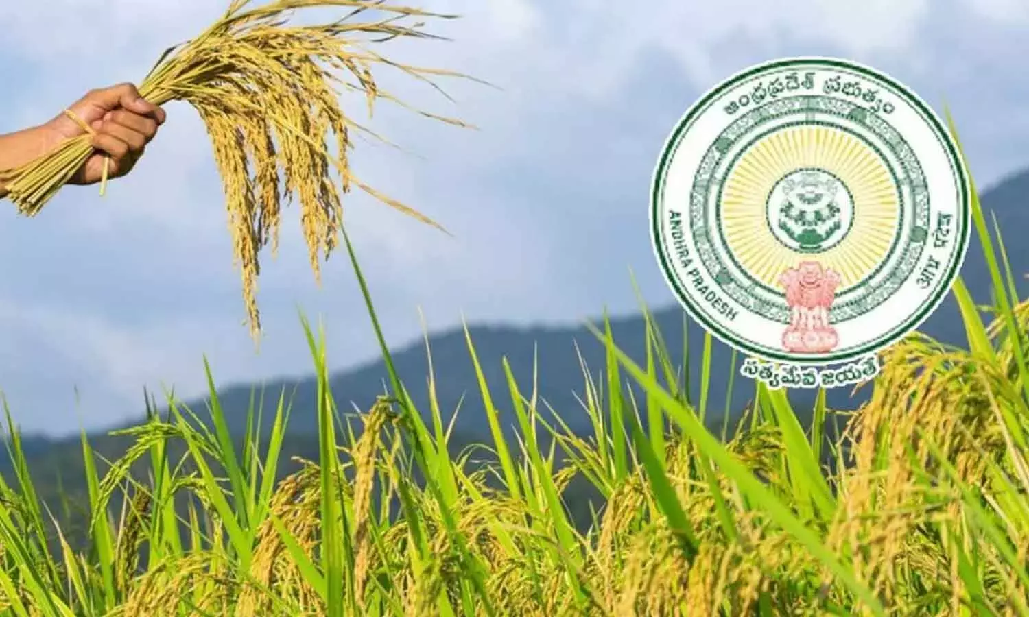Andhra: किसानों ने 31 जुलाई तक फसलों का बीमा कराने का आग्रह किया