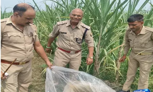 अवैध शराब कारोबारियों पर सख्ती, चकलठीरा जंगल में आबकारी टीम का छापा