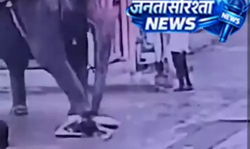 इंदौर में हाथी के हमले से युवक की मौत मामले में महावत हिरासत में, अनुमति की जांच शुरू