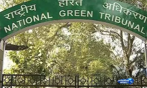 दिल्ली के तालाब पर NGT का बड़ा आदेश, कंक्रीट दीवार की जगह होगी बायो-फेंसिंग
