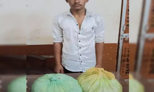 रायपुर में नशे के खिलाफ ANTF की बड़ी कार्रवाई, 3 सप्लायर समेत कई आरोपी गिरफ्तार