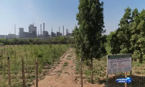 Hindustan Zinc ने लगाए 8.55 लाख से अधिक पौधे, पर्यावरण संरक्षण में नई मिसाल