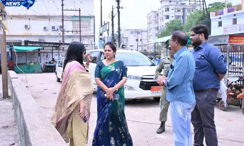 भाठागांव बाजार परिसर का महापौर ने किया निरीक्षण