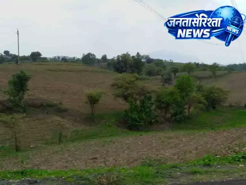 Punjab वन भूमि पर शराब दुकानों पर कार्रवाई के आदेश Punjab वन भूमि पर शराब दुकानों पर कार्रवाई के आदेश