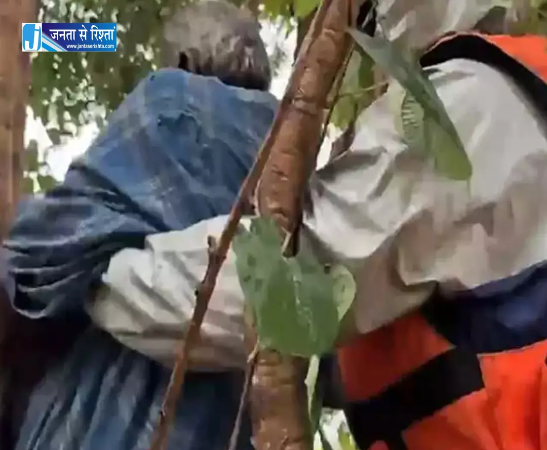 पेड़ में लटका रहा बाढ़ में फंसा बुजुर्ग पेड़ में लटका रहा बाढ़ में फंसा बुजुर्ग
