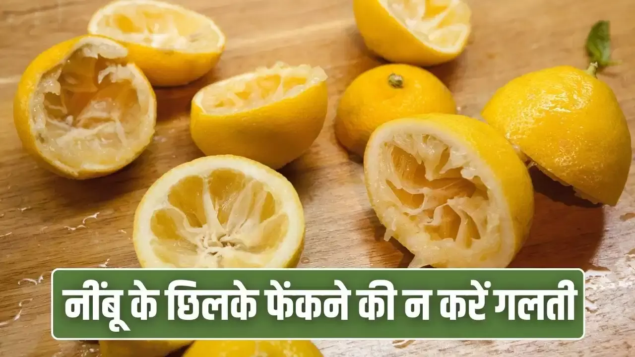 नींबू के छिलके हैं बड़े काम की चीज, 7 शानदार फायदे जानकर आज से नहीं करेंगे बर्बाद