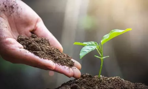 विश्व प्रकृतिक संरक्षण दिवस पर नितिन गडकरी और मुख्यमंत्रियों ने प्रकृति को बचाने की अपील की