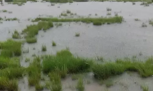 सलांदी नदी उफनी, भद्रक में बाढ़ का असर