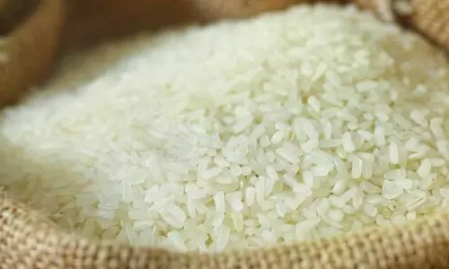आपूर्ति कम होने से केरल में चावल की कीमतों में उछाल