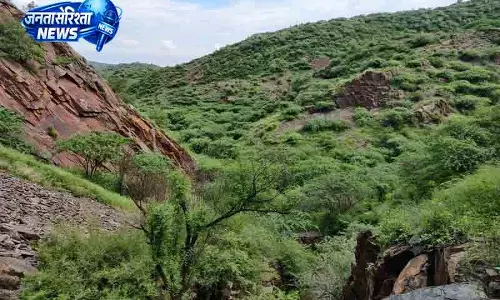 Faridabad अरावली पुनर्जीवन के लिए बड़े पैमाने पर पौधरोपण