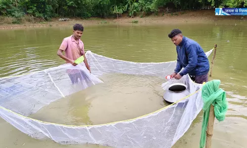 स्पान संवर्धन योजना बनी महिला किसान की आय का नया जरिया