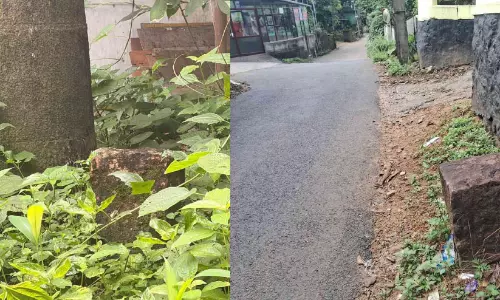 तीन दशक में प्रोजेक्ट लागत में भारी उछाल, 550 करोड़ से 3,810 करोड़ पहुंचा अनुमान