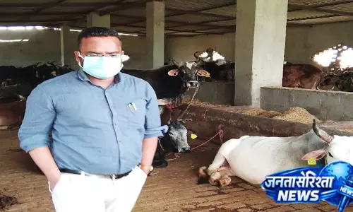 मीरापुर गोशाला का औचक निरीक्षण, साफ-सफाई के दिए आदेश