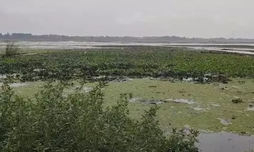 बांदीपोरा में बदला मौसम का मिजाज, तेज बारिश, हवाओं और बिजली चमकने से बढ़ी चिंता