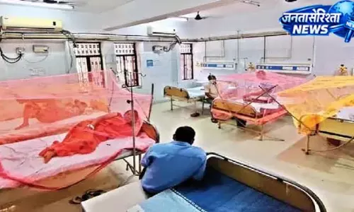 मच्छरजनित बीमारियों से बचाव की तैयारी परखने पहुंची स्वास्थ्य मंत्रालय की टीम