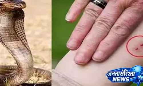 मोरना-भोपा में सांपों का बढ़ता प्रकोप, कई परिवारों ने खोए अपने