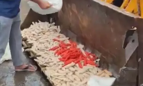 Video: खाद्य विभाग का बड़ा एक्शन, गंदगी में तैयार हो रही 200 किलो चाप कराई नष्ट