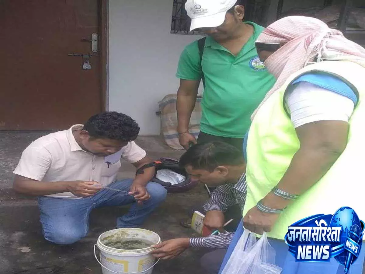 Ranchi Dengue Alert: 166 घरों की जांच में 29 जगह मिला डेंगू लार्वा, स्वास्थ्य विभाग अलर्ट Ranchi Dengue Alert: 166 घरों की जांच में 29 जगह मिला डेंगू लार्वा, स्वास्थ्य विभाग अलर्ट