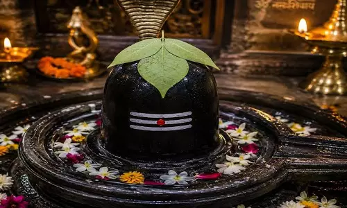 सोमवार और चतुर्दशी पर बेलपत्र तोड़ना क्यों माना गया है वर्जित? जानें शिवपुराण का महत्व