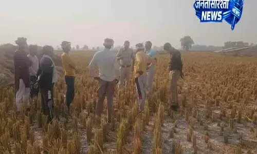 Hisar में बारिश की कमी से फसलों में संकट Hisar में बारिश की कमी से फसलों में संकट