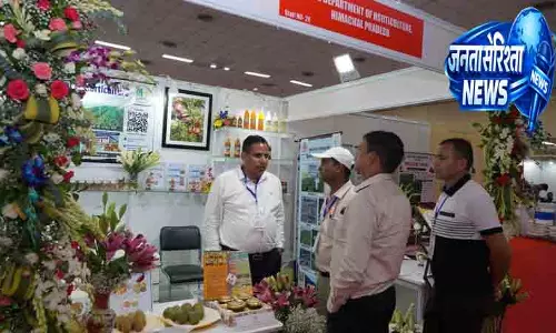 Himachal को इंटरनेशनल एक्सपो में मिला सर्वोच्च सम्मान