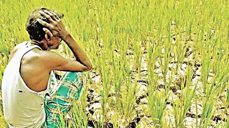 Karnataka: बार-बार फसल की विफलता, बढ़ता कर्ज किसानों की आत्महत्या से जुड़ा हुआ है