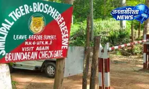Similipal में 500 हेक्टेयर घास के मैदान का होगा पुनर्जीवन