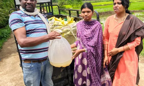 स्पॉन संवर्धन योजना बनी आजीविका का सशक्त आधार स्पॉन संवर्धन योजना बनी आजीविका का सशक्त आधार