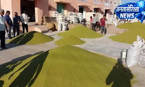 मूंग खरीद बढ़ाने की मांग, केंद्र से MP ने मांगा बड़ा कोटा