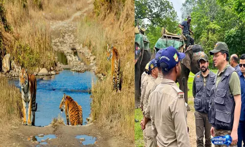 बाघ संरक्षण में उत्तराखंड की बड़ी छलांग, CM धामी ने गिनाईं उपलब्धियां