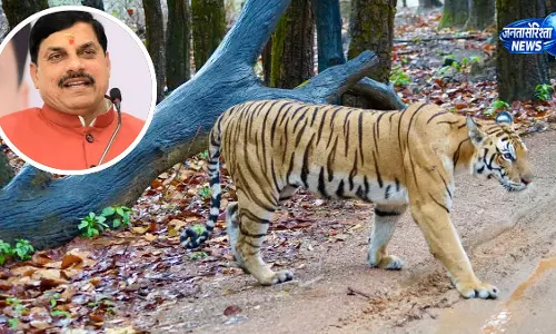 मध्य प्रदेश में 1,000 बाघों का लक्ष्य: CM यादव