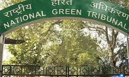 NGT ने दिल्ली सरकार को साकेत वन भूमि से चार महीने के भीतर अतिक्रमण हटाने का दिया निर्देश
