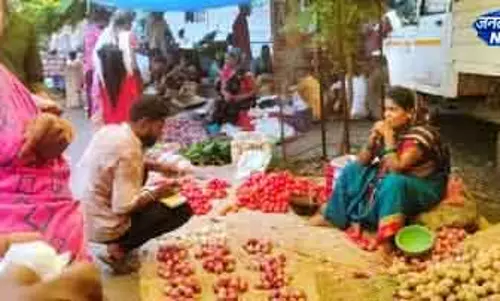 स्वच्छता अभियान : प्रतिबंधित सिंगल यूज प्लास्टिक उपयोग पर लगाया गया जुर्माना